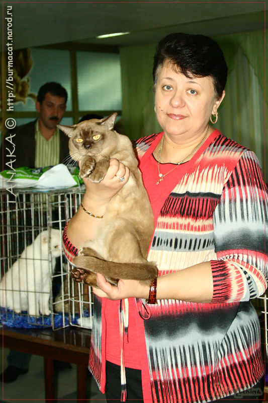 ТАНАКА на Международной Выставке Кошек в г.Кременчуг, Украина 